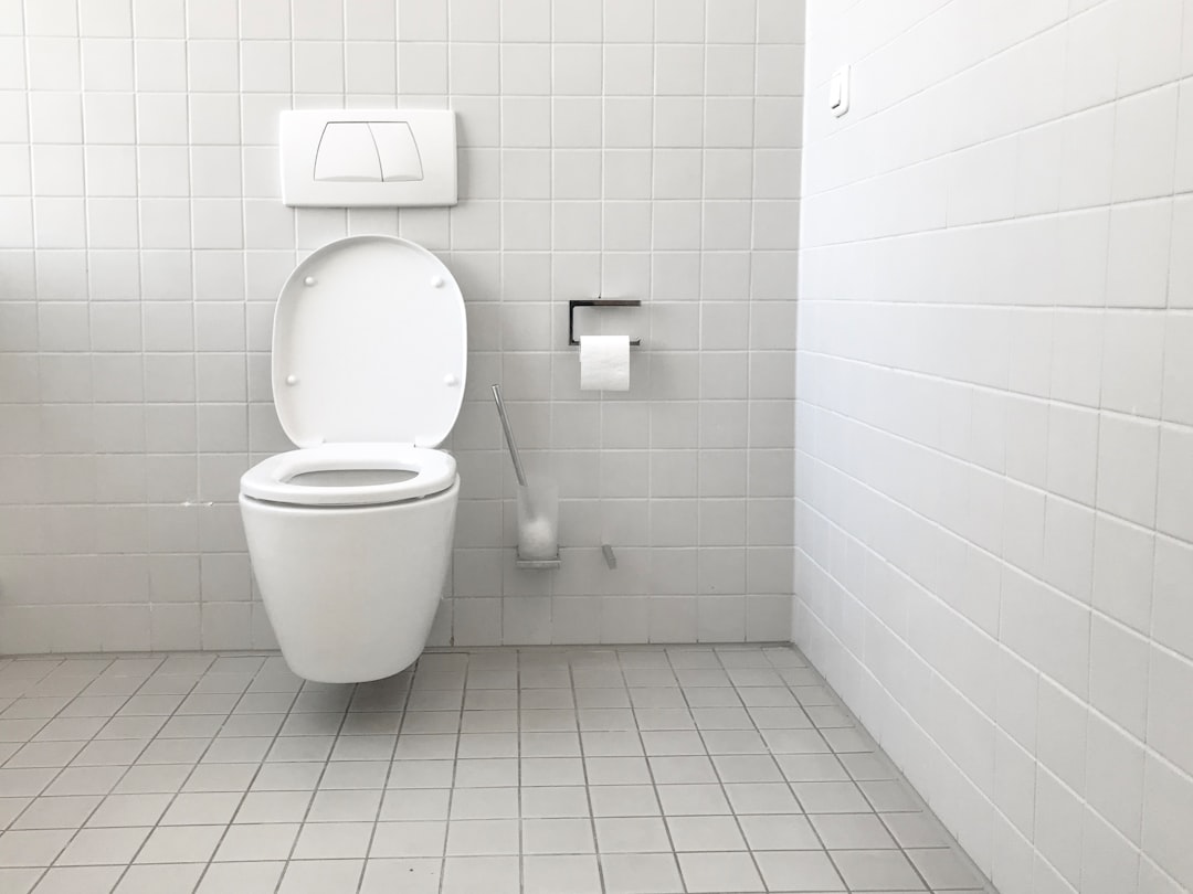 White toilet bowl with cistern tank