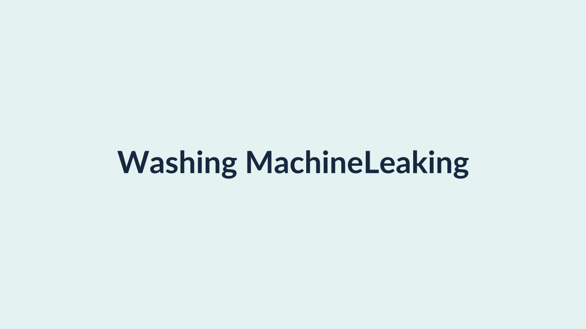 Checking washing machine hoses and pump for a leak from the bottom